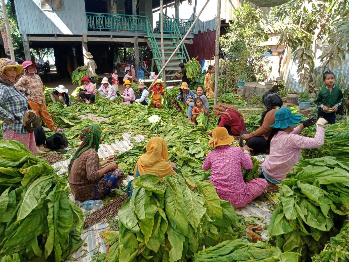 Tonle Mekong Homestay Krong Kracheh エクステリア 写真