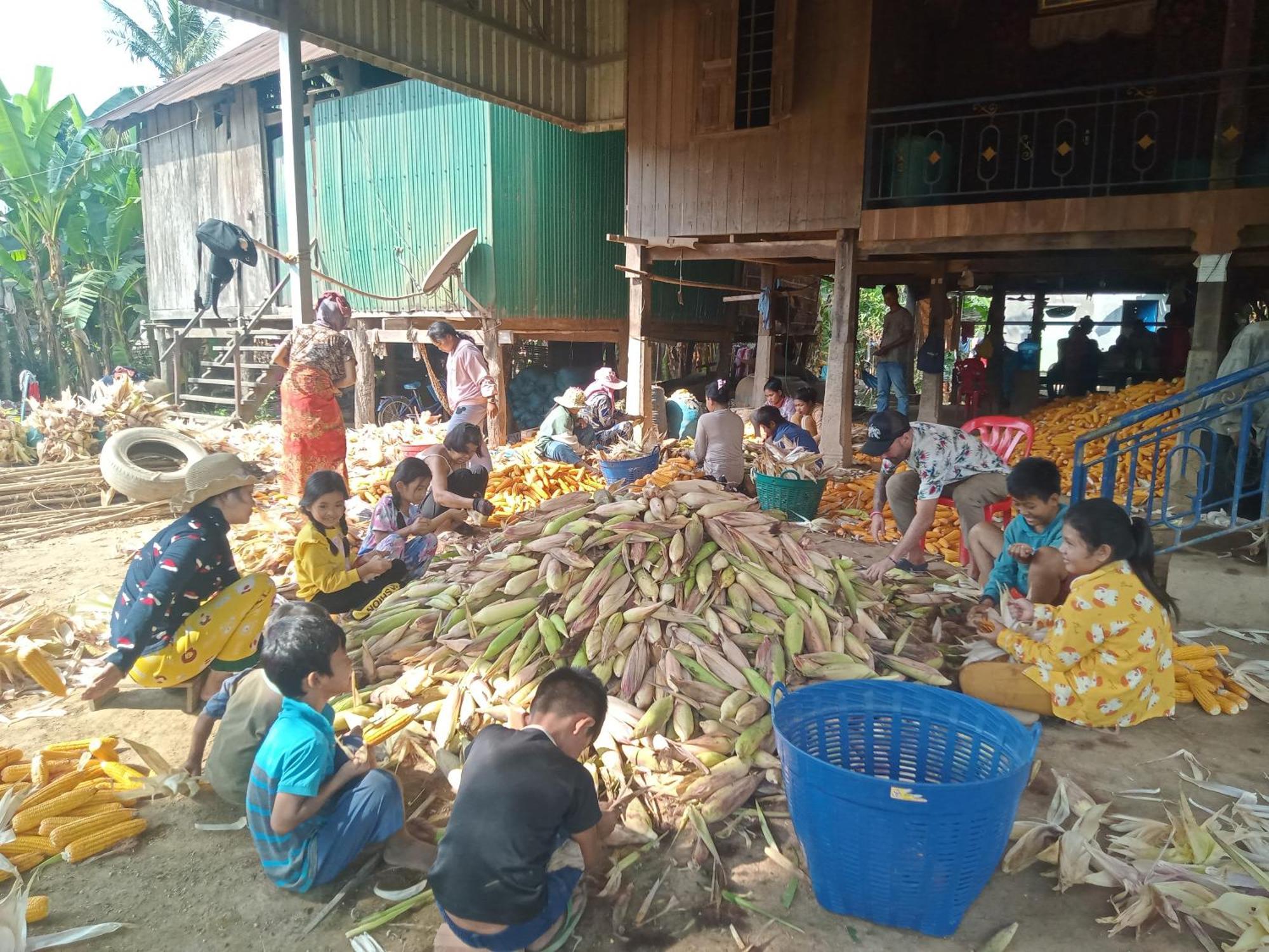 Tonle Mekong Homestay Krong Kracheh エクステリア 写真