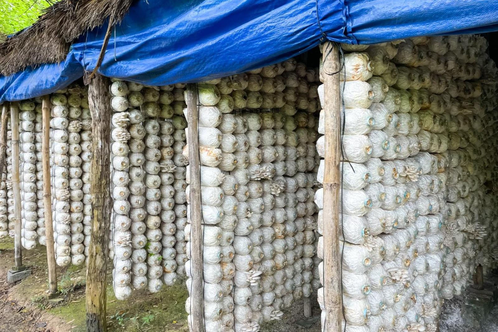 Tonle Mekong Homestay Krong Kracheh エクステリア 写真